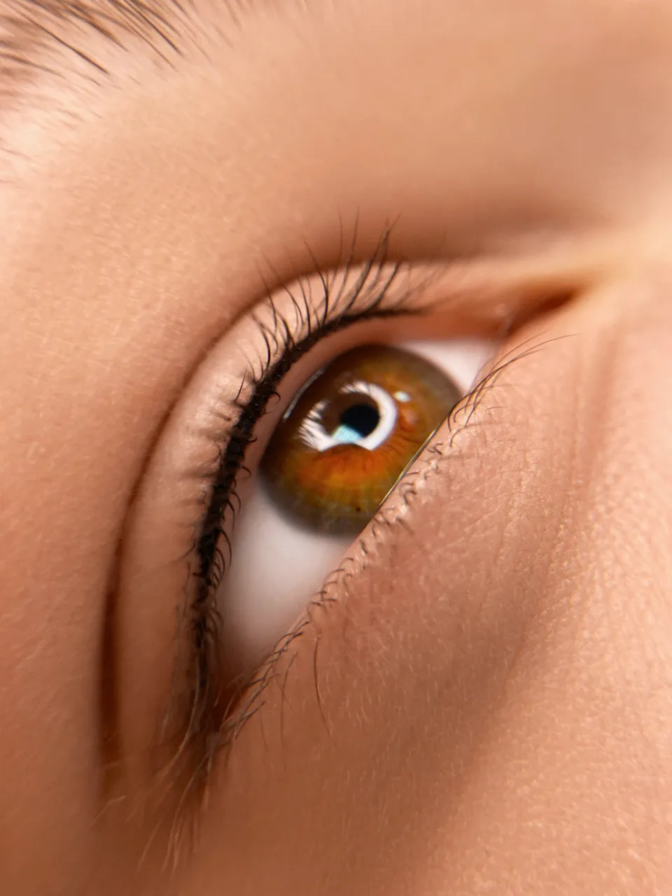 eyelids