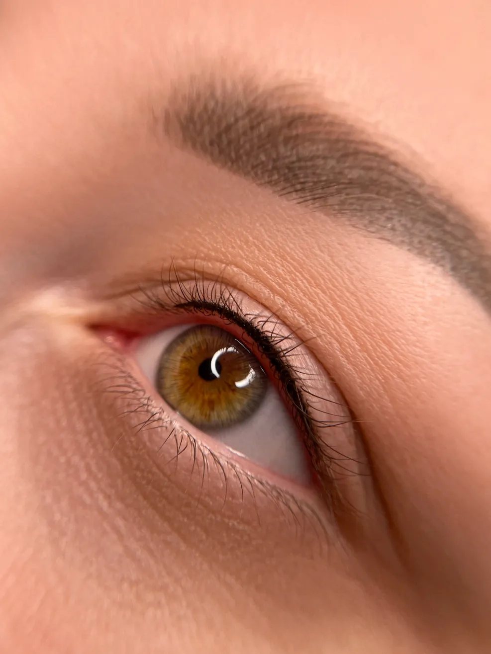 eyelids